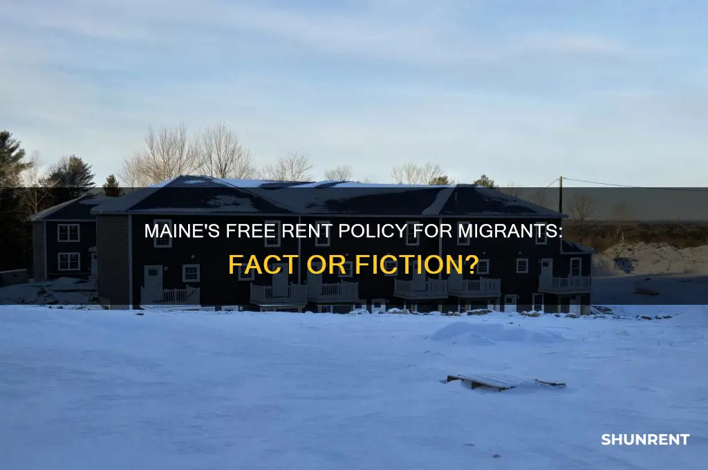 is maine giving free rent to migrants