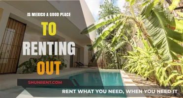 Renting in Mexico: Pros, Cons, and Opportunities for Investors
