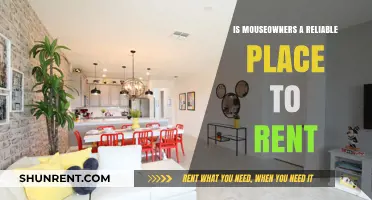 Is MouseOwners a Trustworthy Platform for Renting Vacation Homes?
