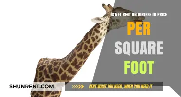 Understanding Net Rent on Giraffe: Is Price Per Square Foot Included?