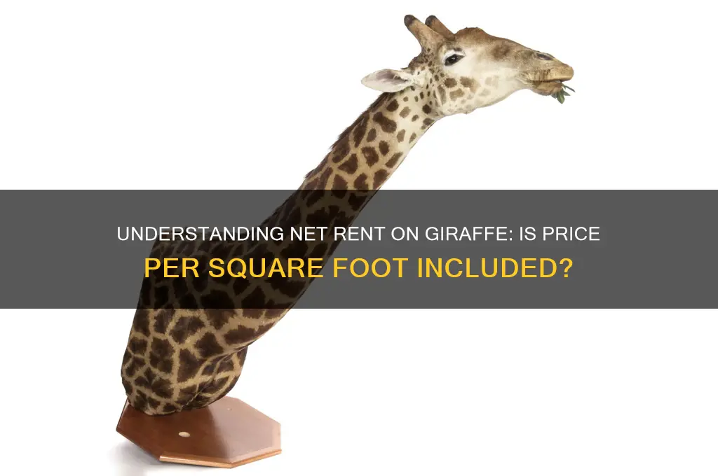 is net rent on giraffe in price per square foot