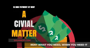 Non-Payment of Rent: A Civil Matter or Legal Battle?