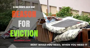 Can One Month of Back Rent Lead to Eviction? Understanding Your Rights