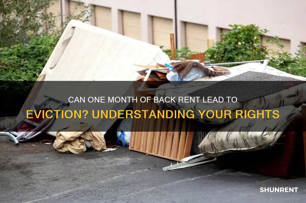 is one month back rent reason for eviction