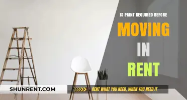 Should You Paint Before Moving In? Renters' Guide to Fresh Walls