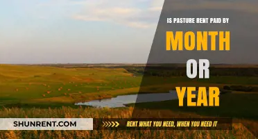 Monthly vs. Yearly: Understanding Pasture Rent Payment Schedules