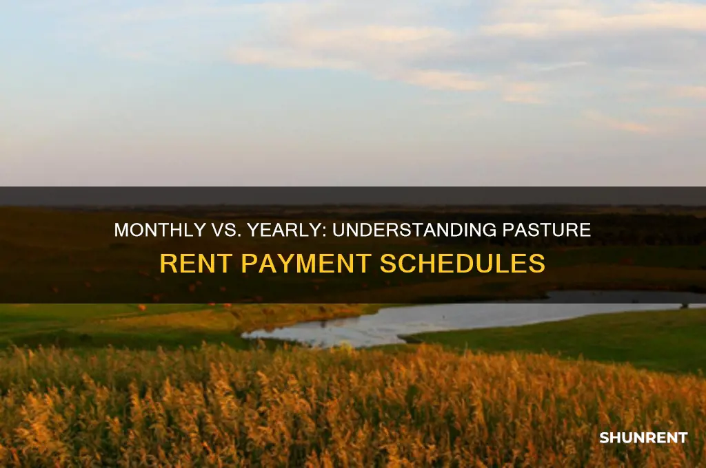 is pasture rent paid by month or year