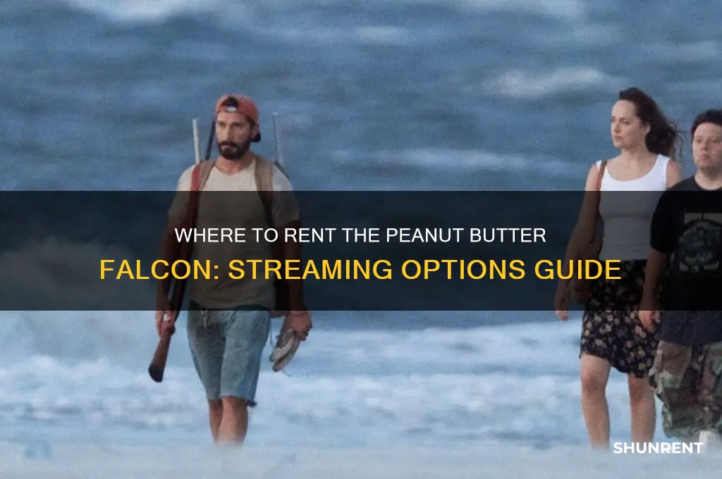 is peanut butter falcon available to rent