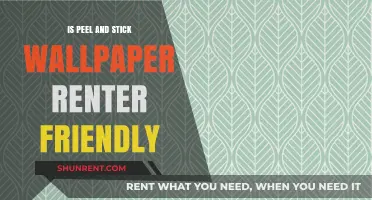 Peel and Stick Wallpaper: A Renter's Dream or Temporary Solution?