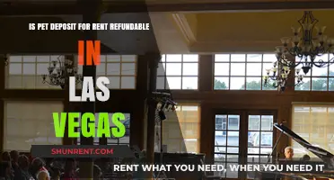 Is Your Las Vegas Pet Deposit Refundable? What Renters Need to Know