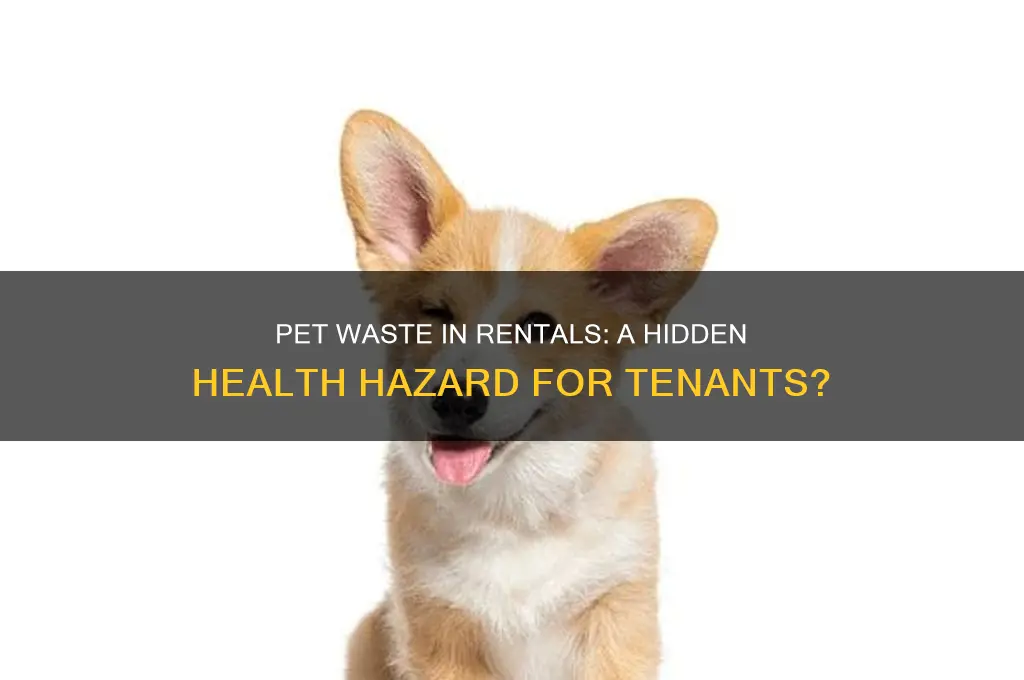 is pet feces considered a health hazard when renting