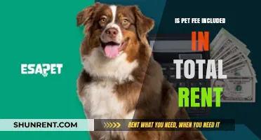 Are Pet Fees Included in Your Total Rent? What to Know