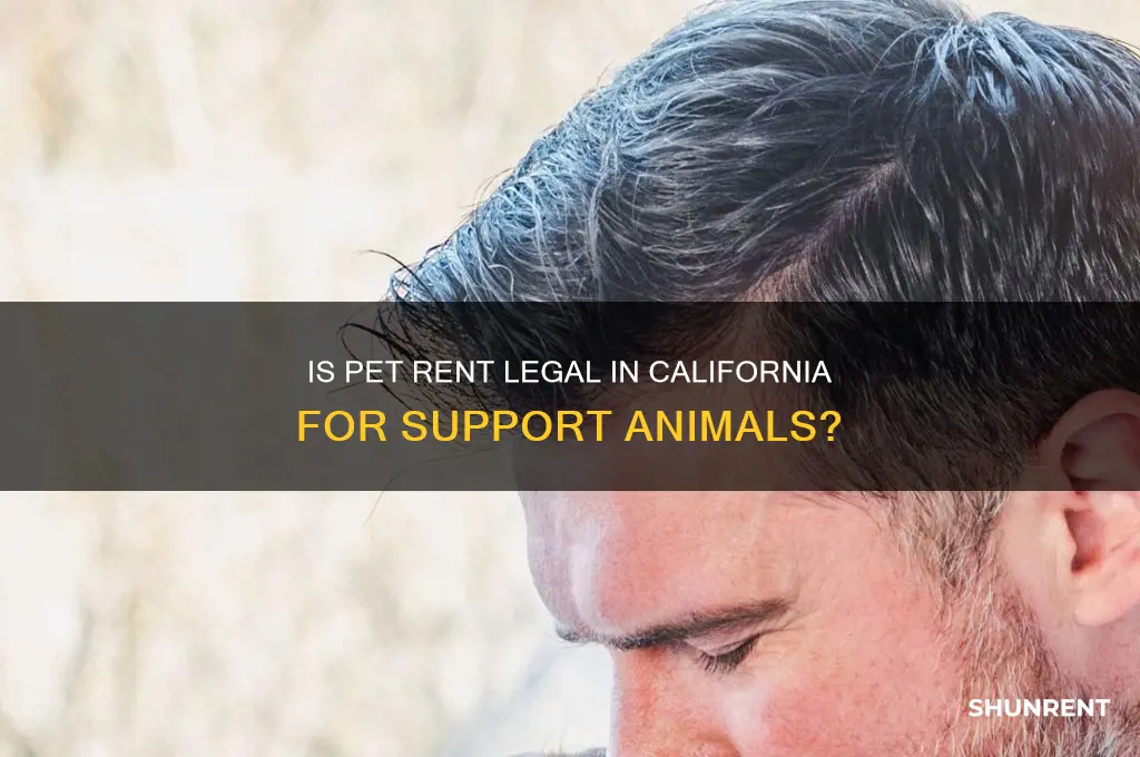 is pet rent legal in california support animal