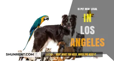 Is Pet Rent Legal in Los Angeles? Understanding Local Laws