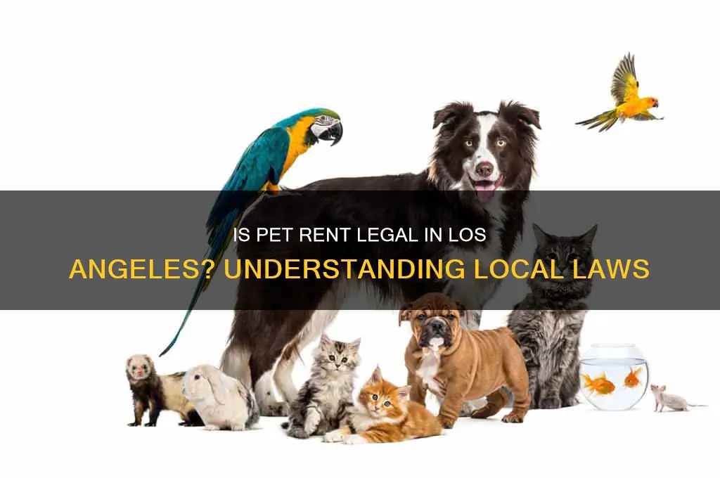 is pet rent legal in los angeles
