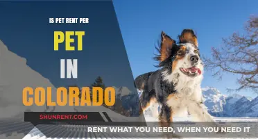 Colorado Pet Rent Policies: Understanding Per-Pet Fees for Renters