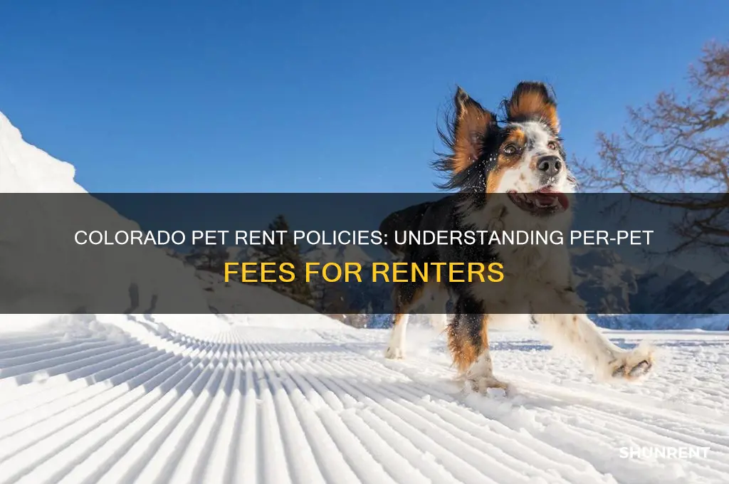 is pet rent per pet in colorado