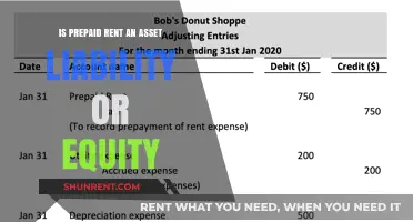 Rent Prepayment: Asset, Liability, or Equity?