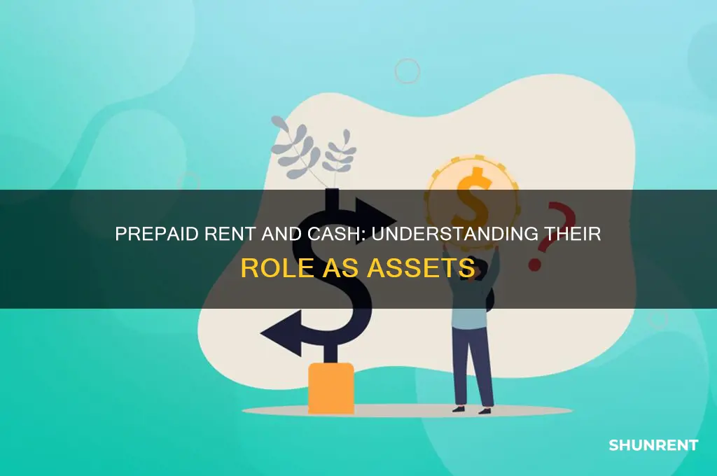 is prepaid rent and cash an asset