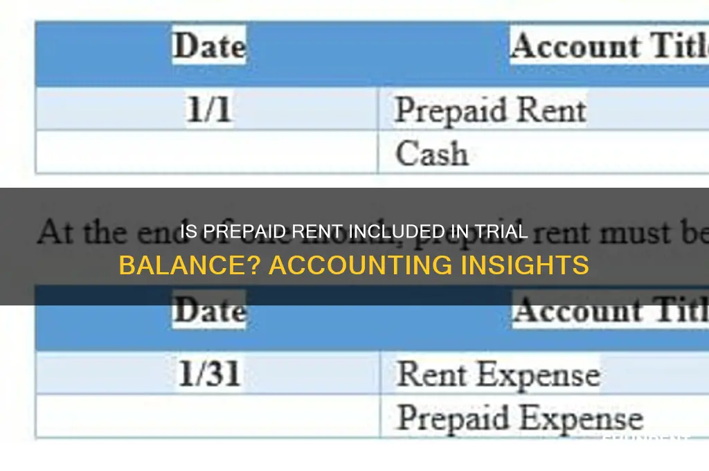 is prepaid rent included in trial balance