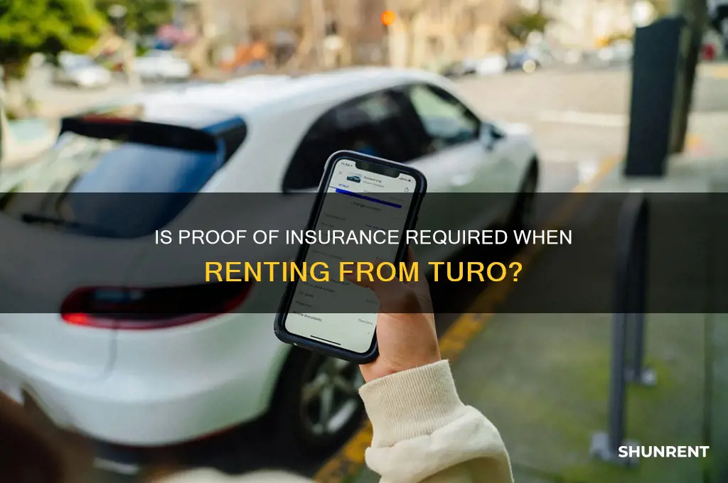 is proof of insurance required when renting from turo