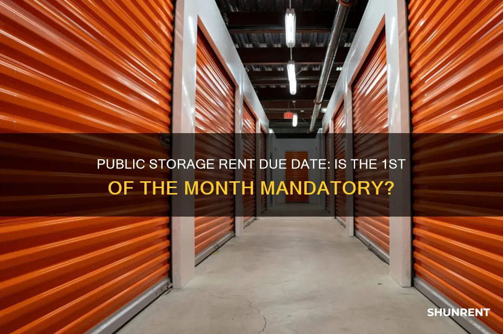 is public storage rent due 1st of the month