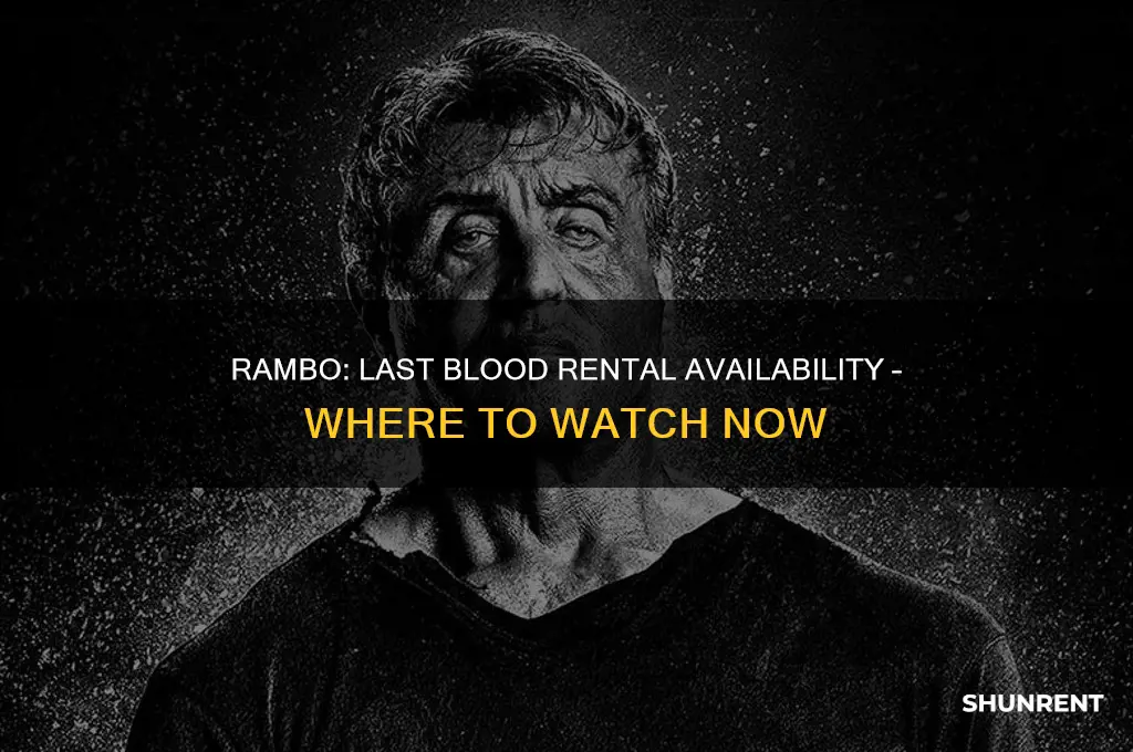is rambo last blood available to rent