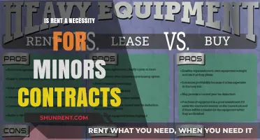Are Minors Legally Bound to Pay Rent? Exploring Contract Necessities