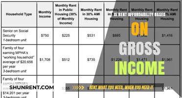 Is Rent Affordability Tied to Gross Income? A Detailed Analysis