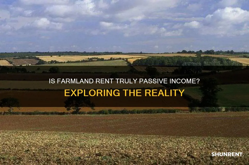 is rent from farm land considered passive income