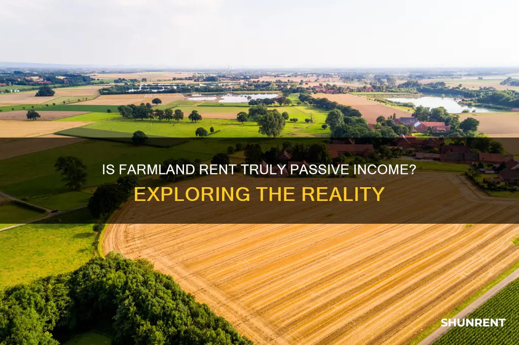 is rent from farmland considered passive income