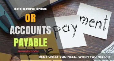 Rent Classification: Prepaid Expenses or Accounts Payable Explained