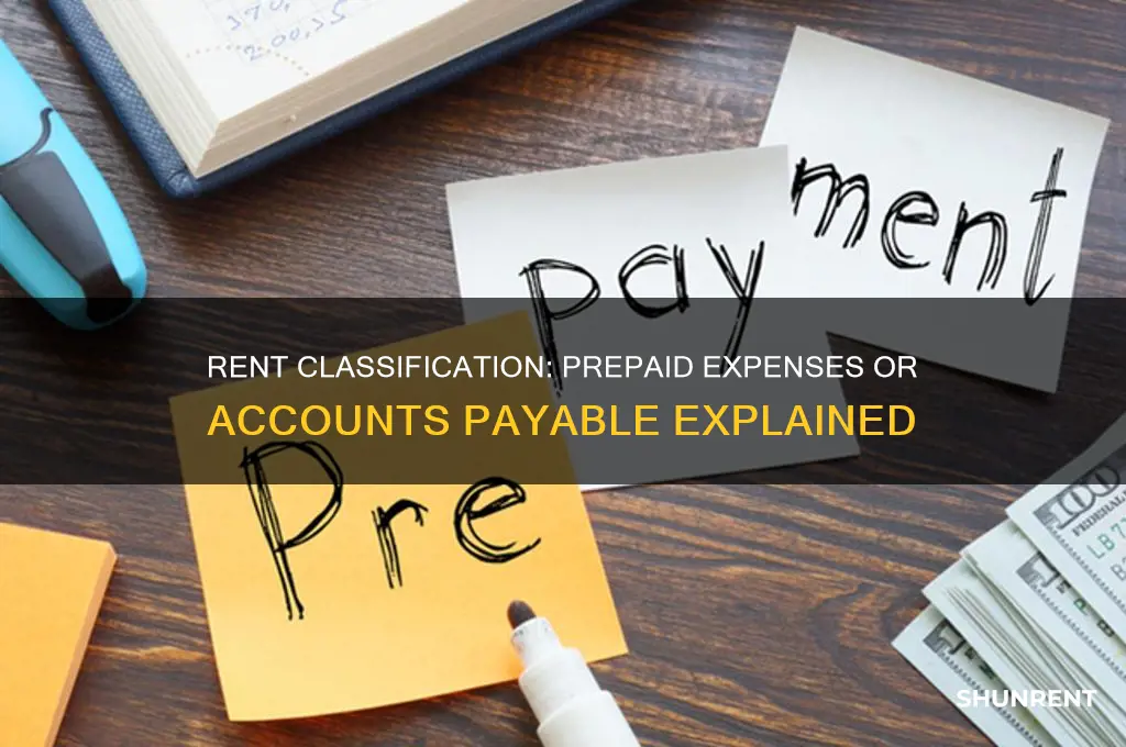 is rent in prepaid expenses or accounts payable