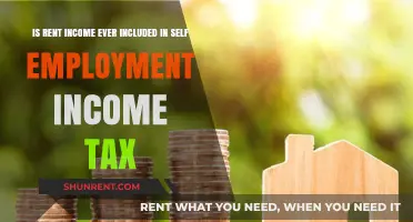 Is Rental Income Subject to Self-Employment Tax?