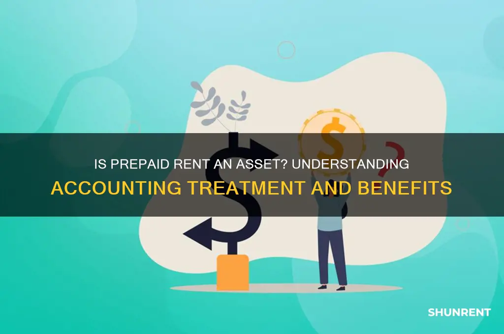 is rent paid in advance an asset