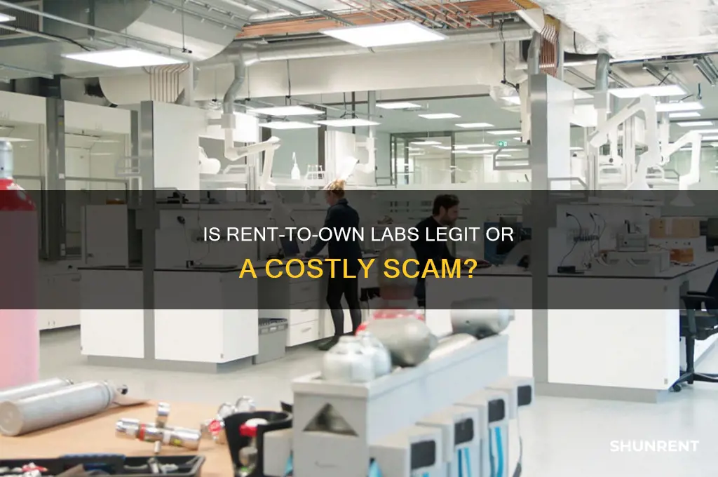 is rent to own labs a scam
