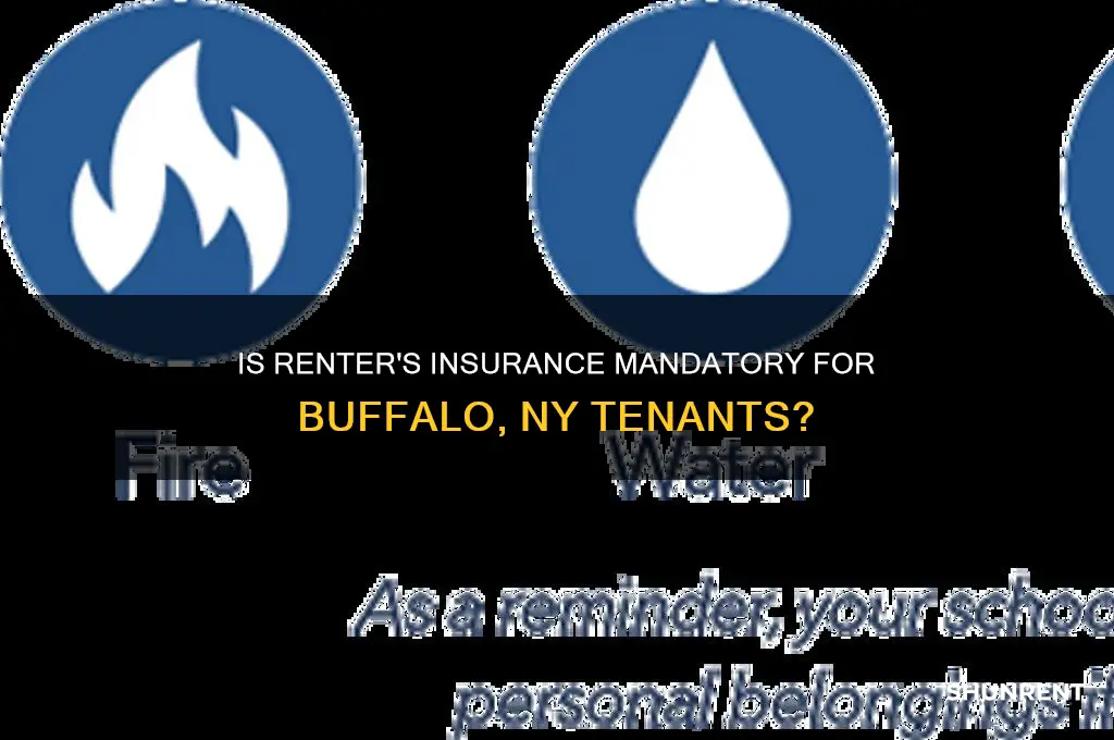 is renter insurance required to rent in buffalo ny