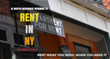 Is Renter's Insurance Mandatory for New York Tenants?