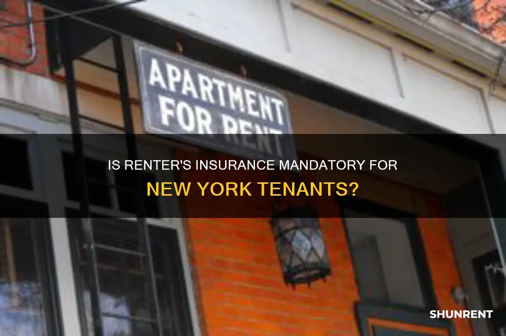is renter insurance required to rent in ny