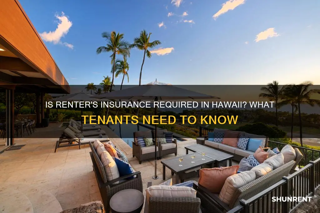 is renter