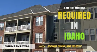 Is Renter's Insurance Required in Idaho? What Tenants Need to Know