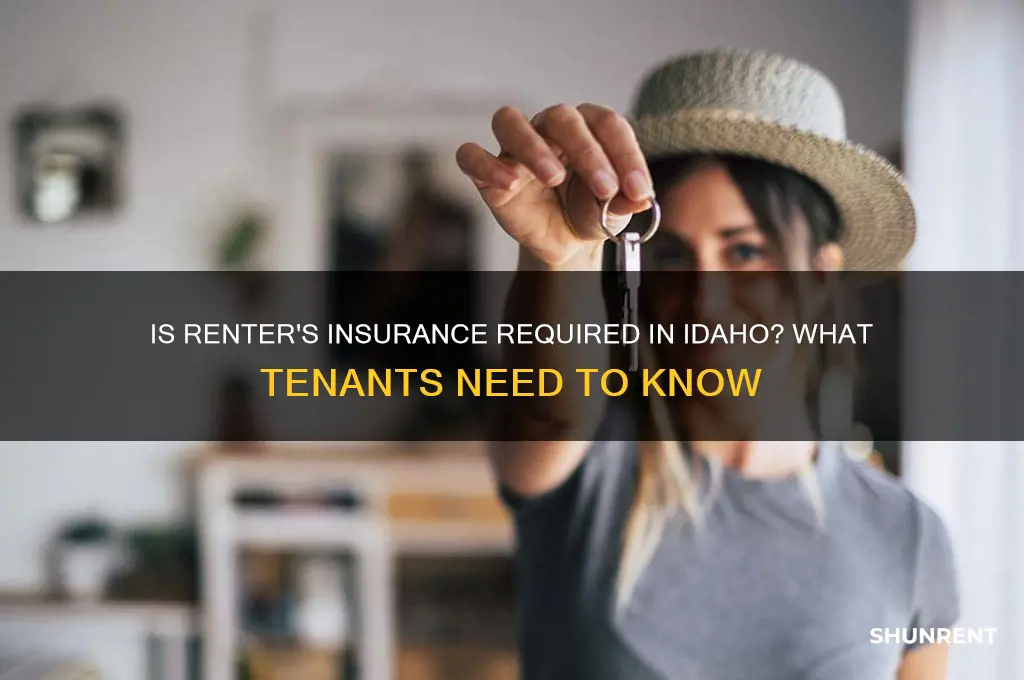 is renter