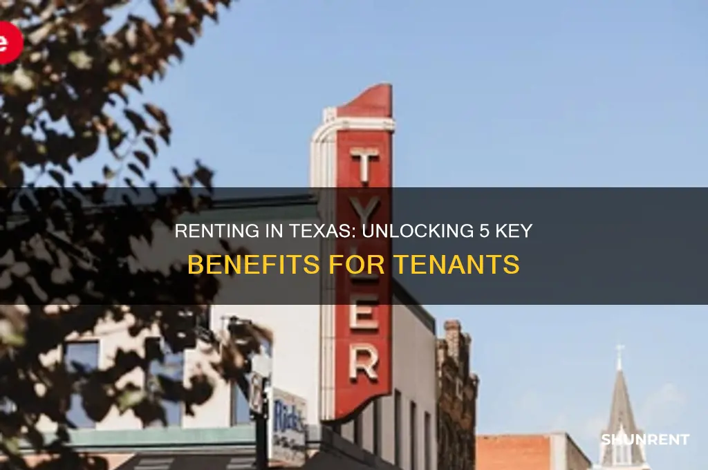 is renting a 5ax benefit in texas