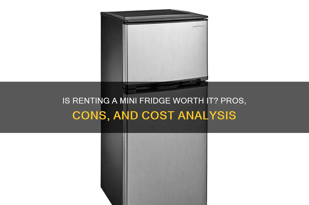 is renting a mini fridge worth it