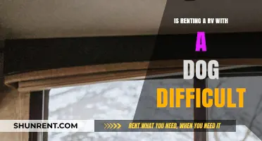 Renting an RV with a Dog: Challenges and Tips for Success