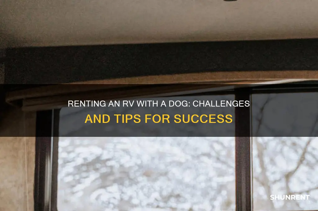 is renting a rv with a dog difficult