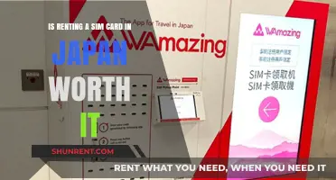 Renting a Sim Card in Japan: Cost-Effective Travel Solution?