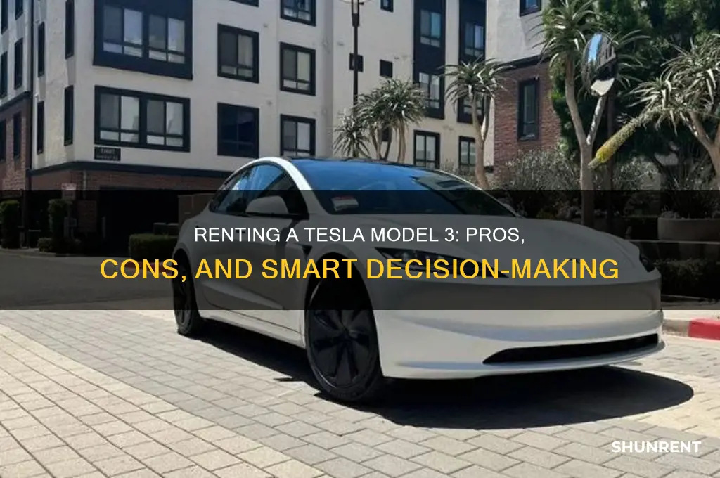 is renting model 3 a good idea