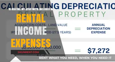 Is Renting My Apartment Considered Rental Income Expenses?