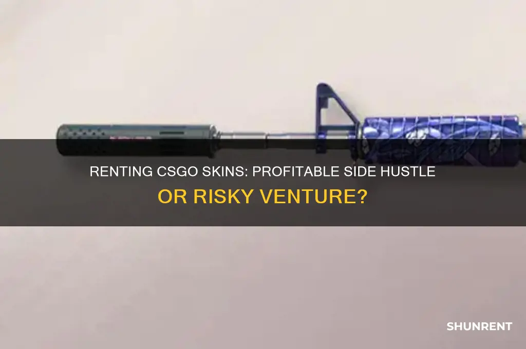 is renting out skins a way to make money csgo